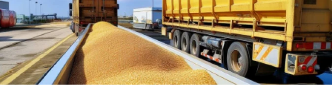 Movimiento de cargas a granel