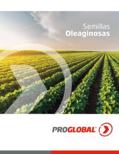Semillas Oleaginosas – Catálogo