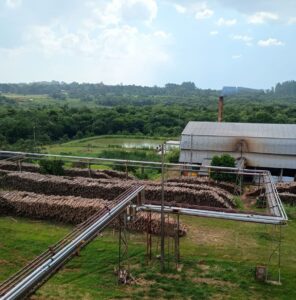 Planta de secado de lecitina